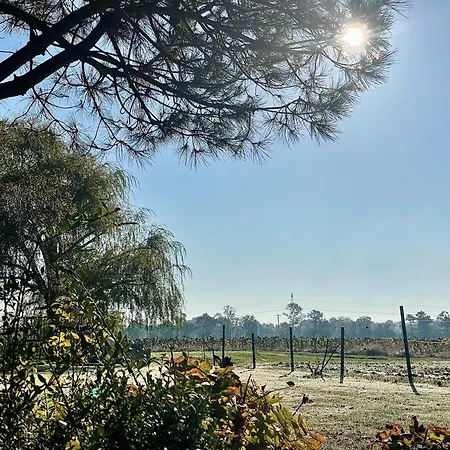 La Goroniere - Superbe Charentaise Renovee - Piscine Chauffee - Grand Jardin Feriehus